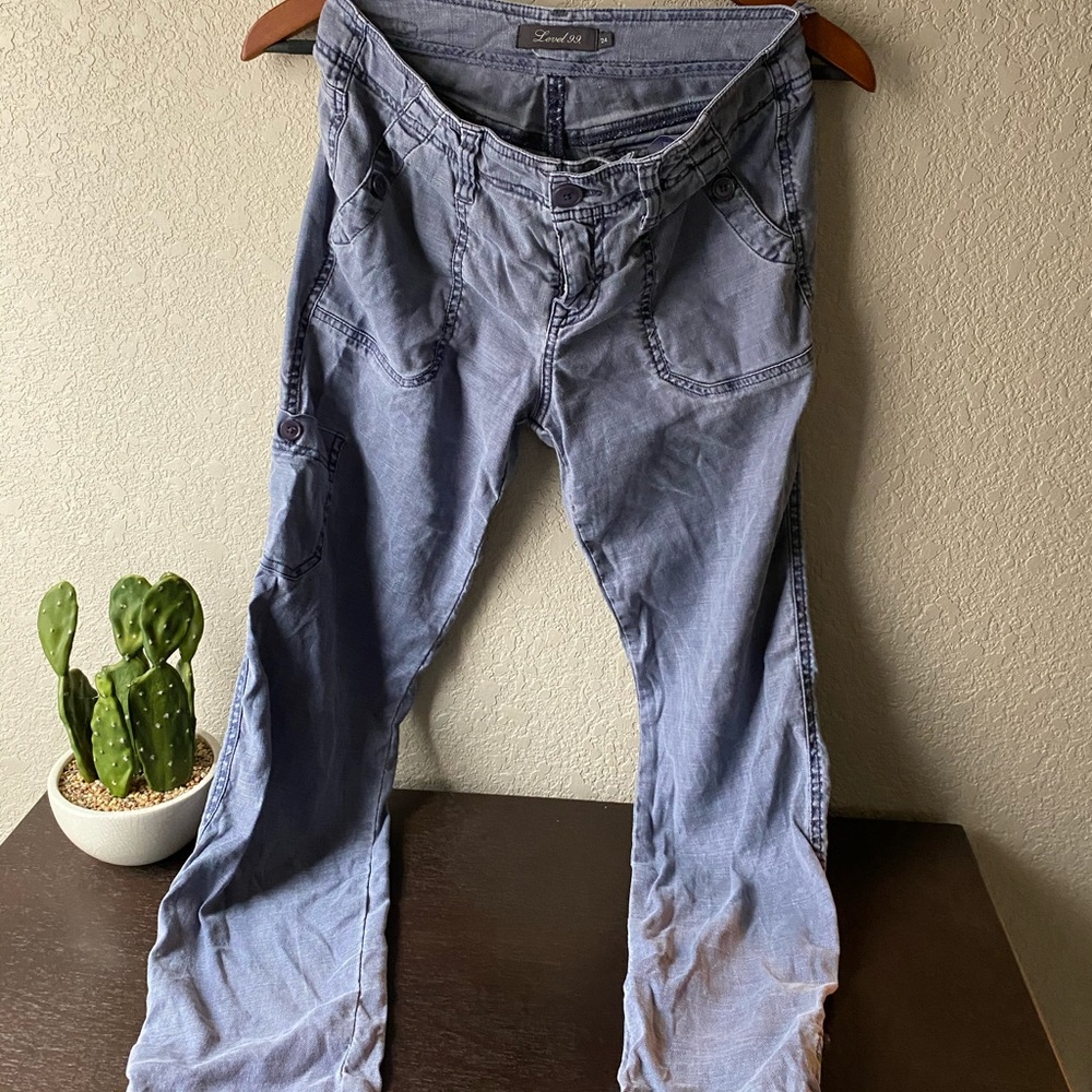 Anthropologie Level 99 pants size 24